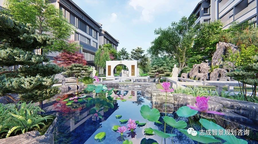 1629254967554383.jpg 17.jpg