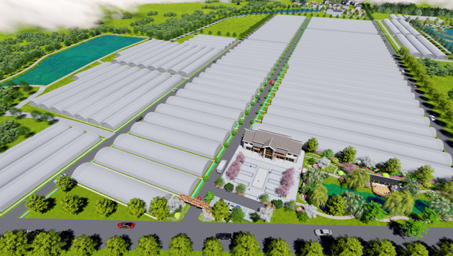 1629277659985381.jpg 6.jpg