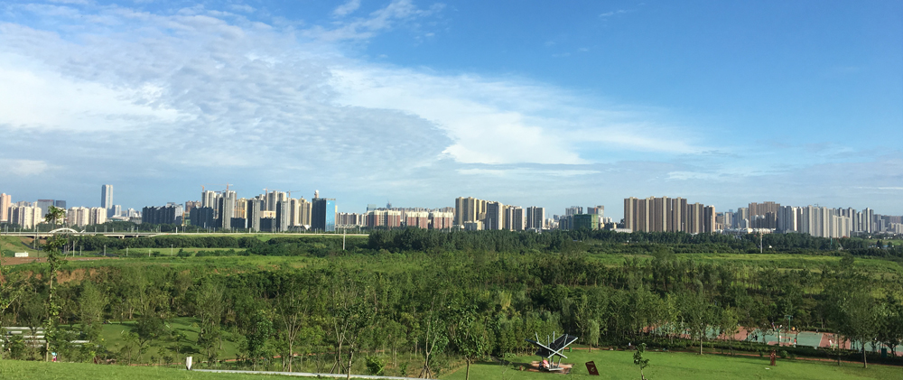 1640745867118169.jpg IMG_1303.JPG