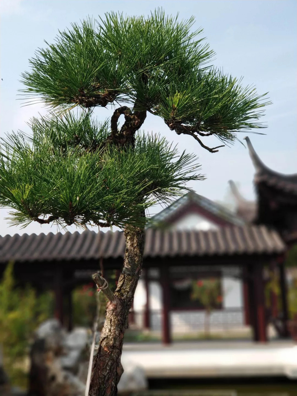 1640745902129550.jpg 00 (1).jpg