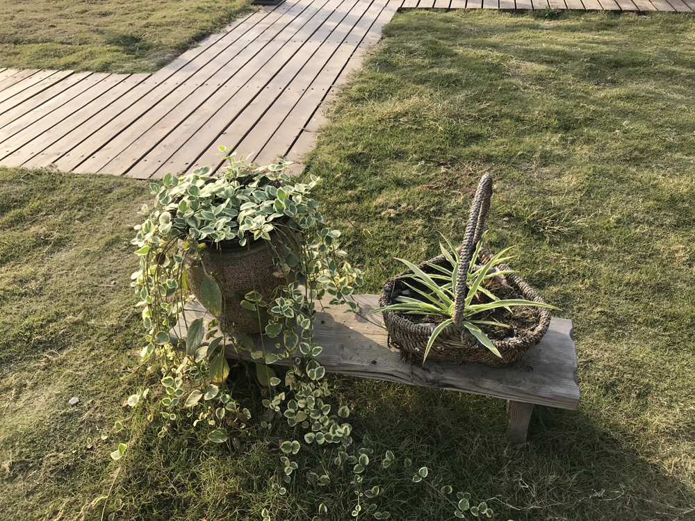 1640745919295872.jpg 大 (100).JPG