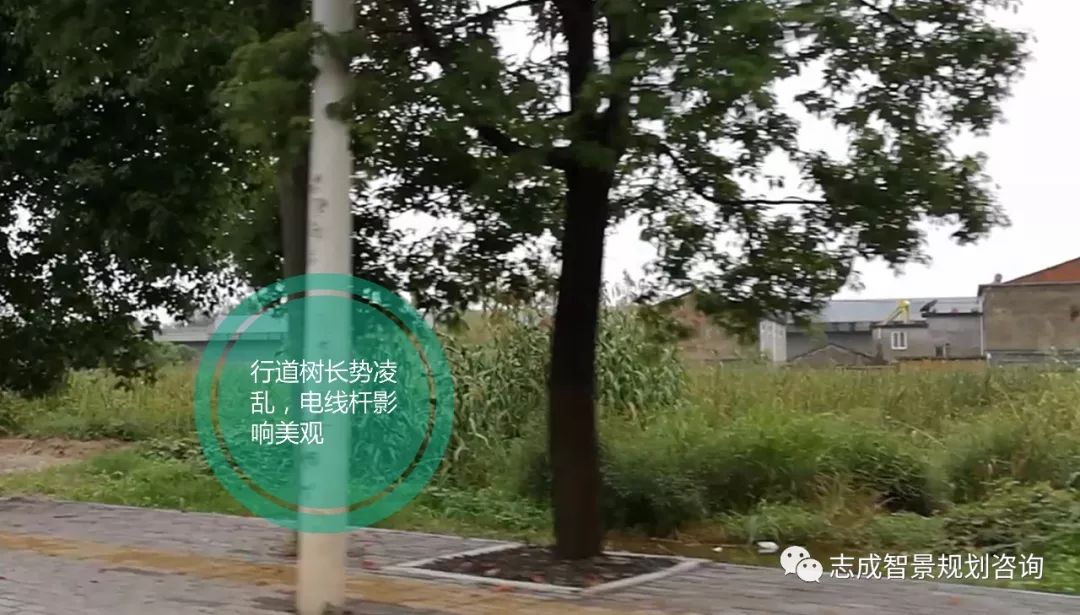 1655952936461576.jpg 640 (5).jpg