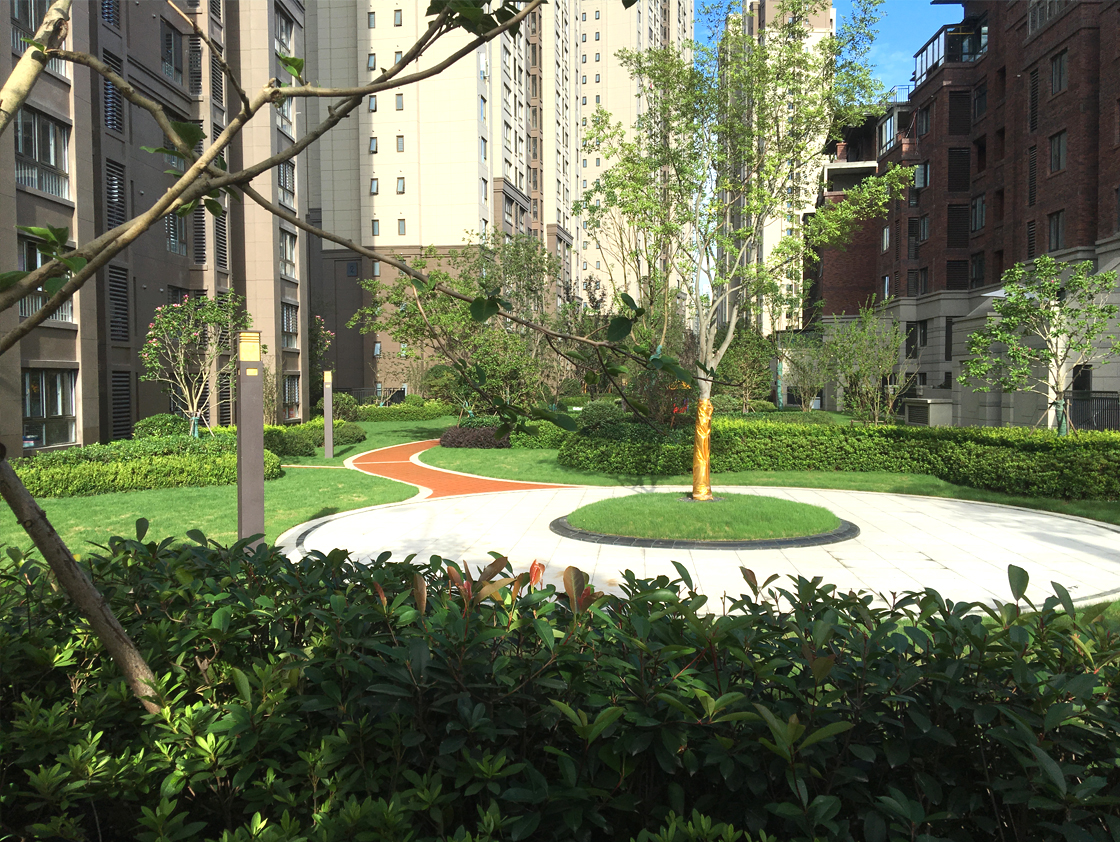 1676949353419093.jpg 18.jpg