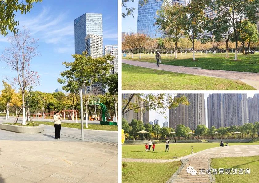 1681716361468959.jpg 640 (23).jpg